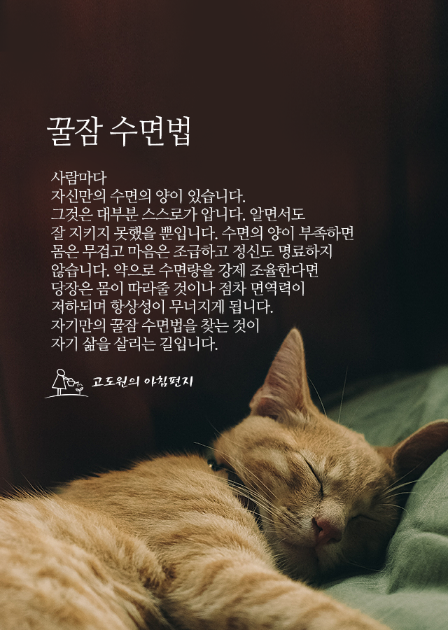 꿀잠 이미지