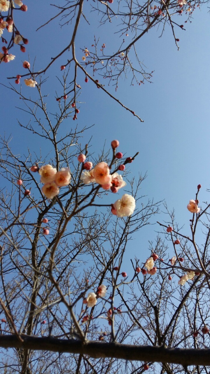 만고강산 이미지