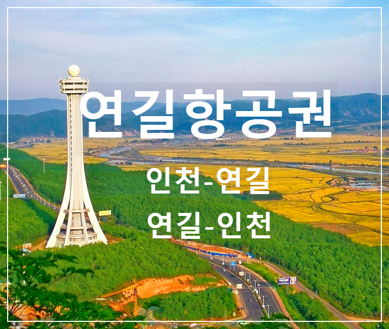 Daum 카페