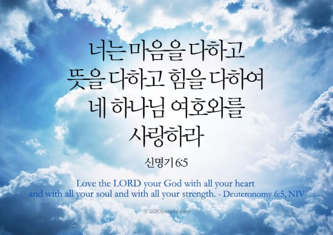 사랑하라 이미지