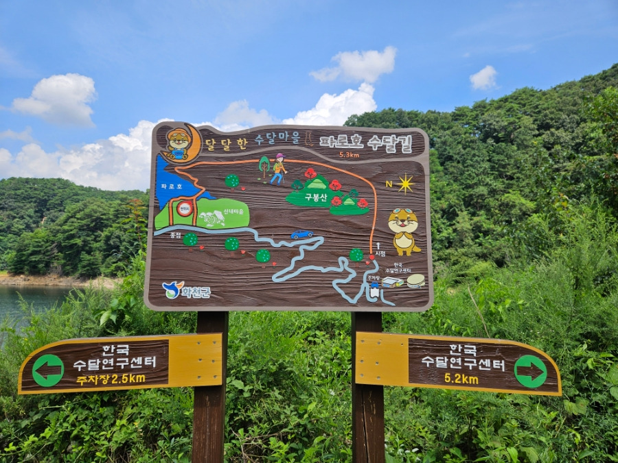 천수면 이미지
