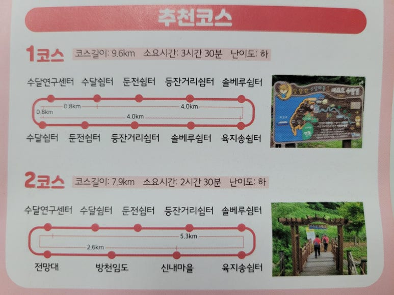 달숲 이미지