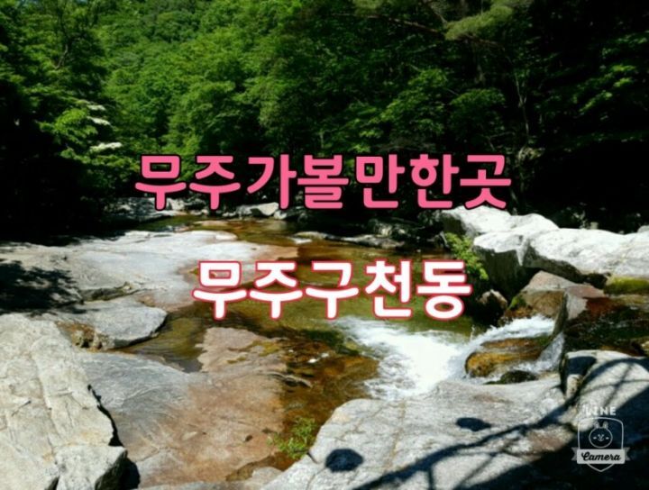 일오고속관광 이미지