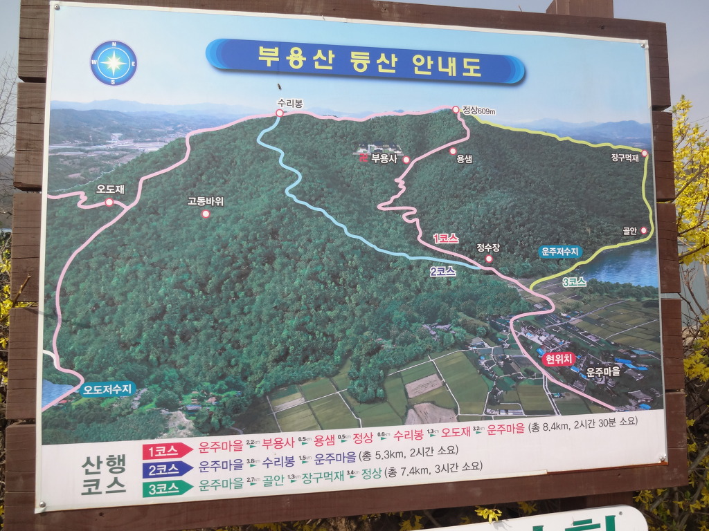 다사랑 이미지