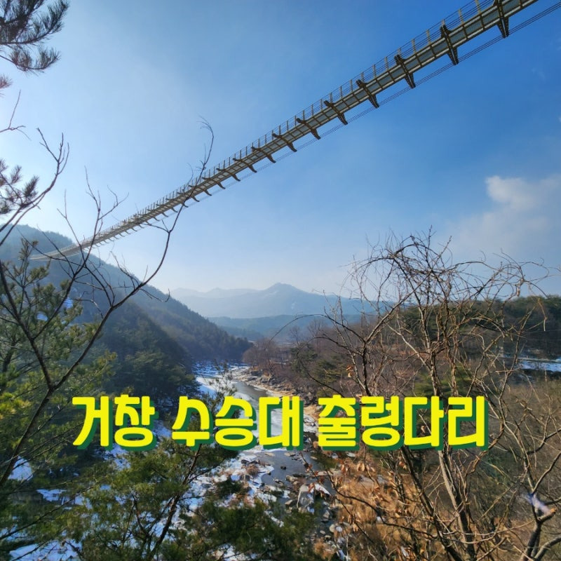 다사랑 이미지