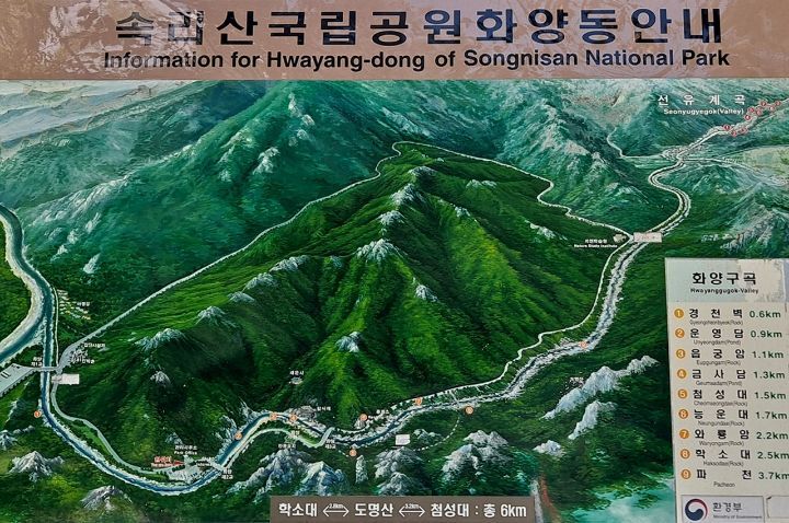 다사랑 이미지