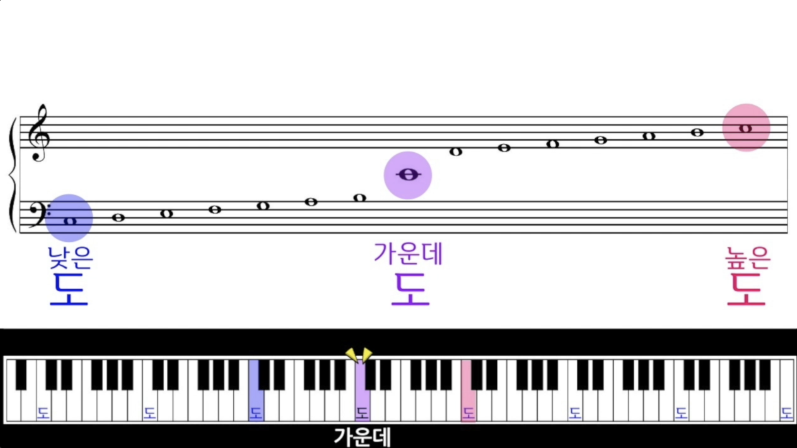 Daum 카페