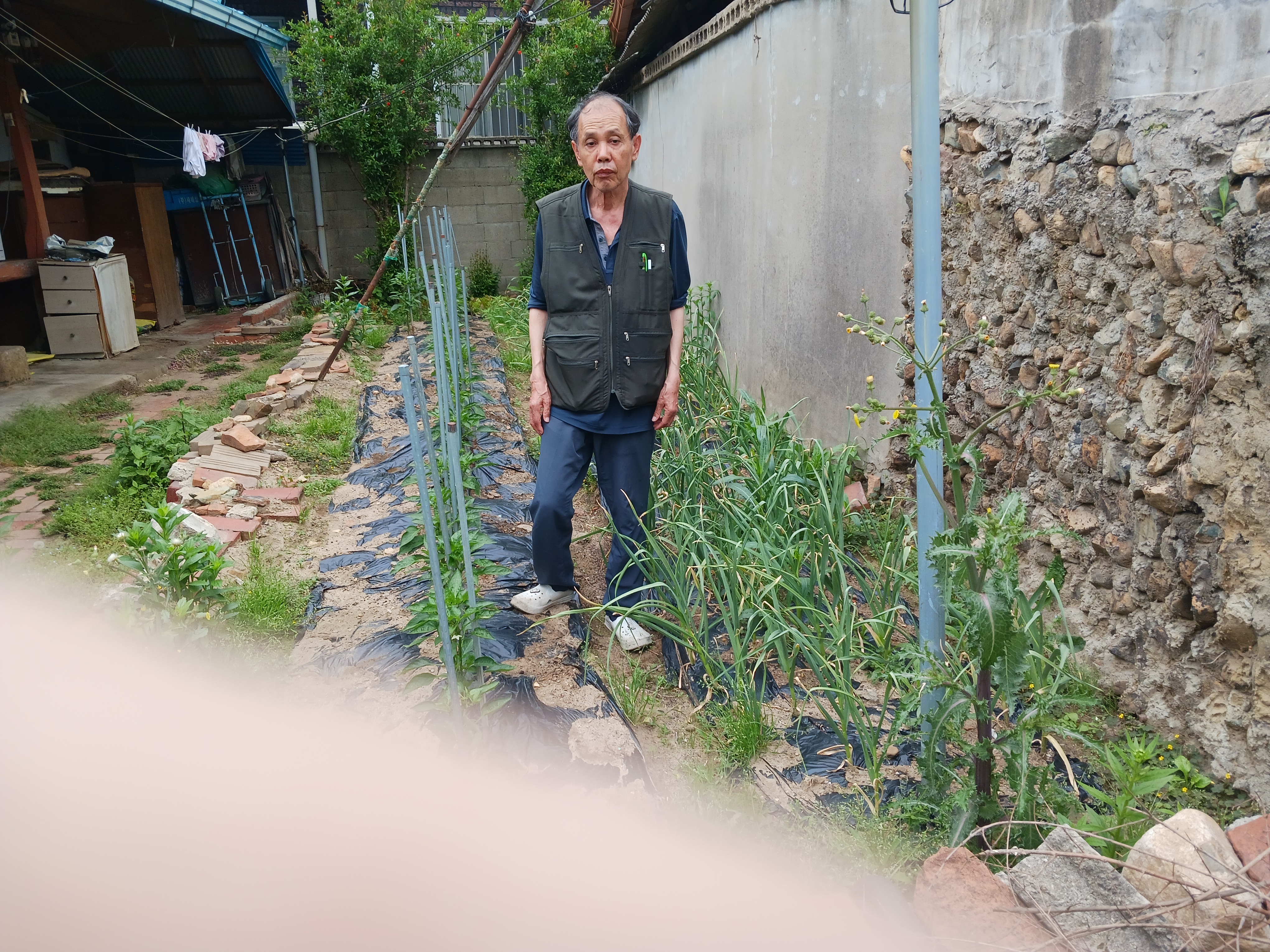 대성이용소 이미지