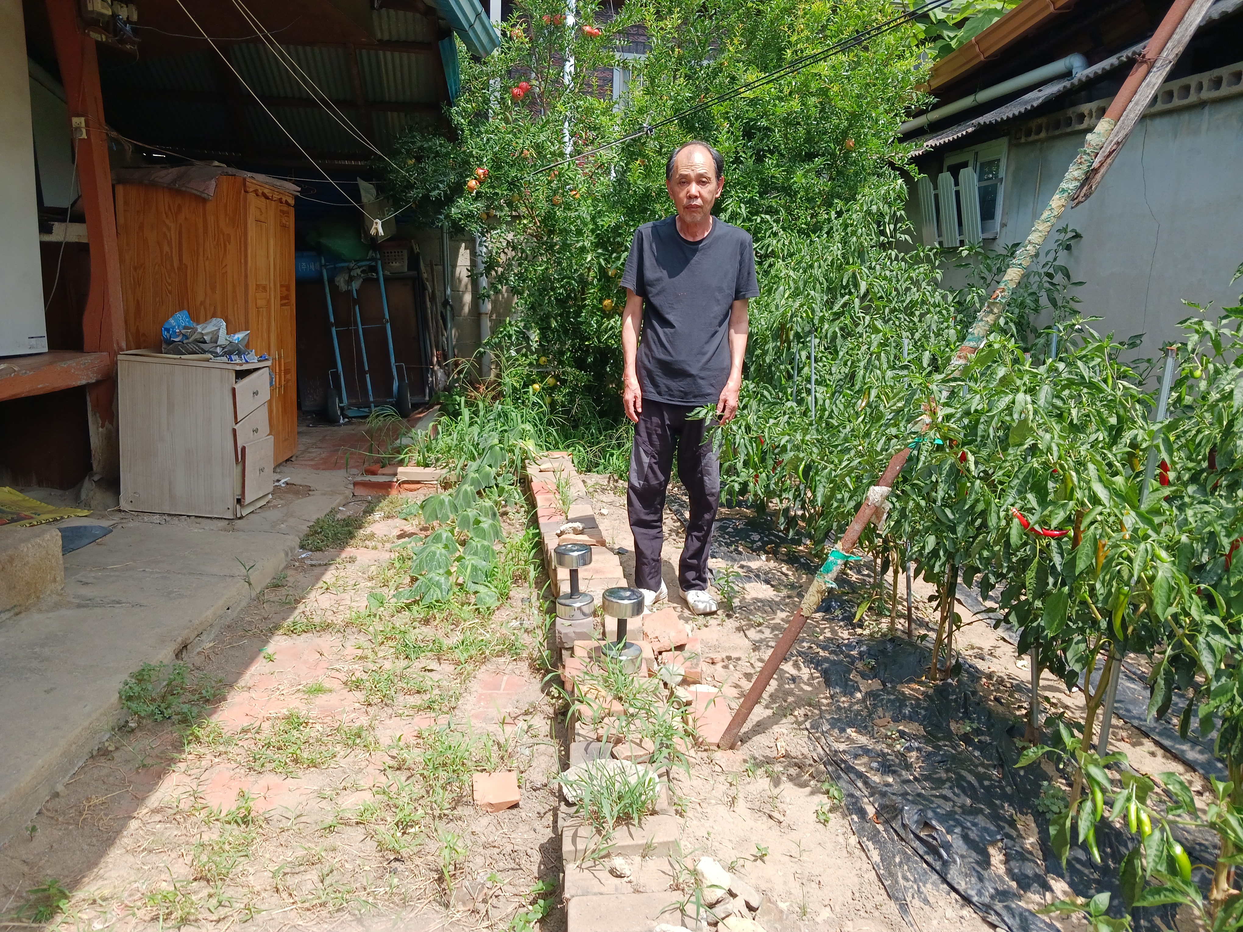 대성이용소 이미지