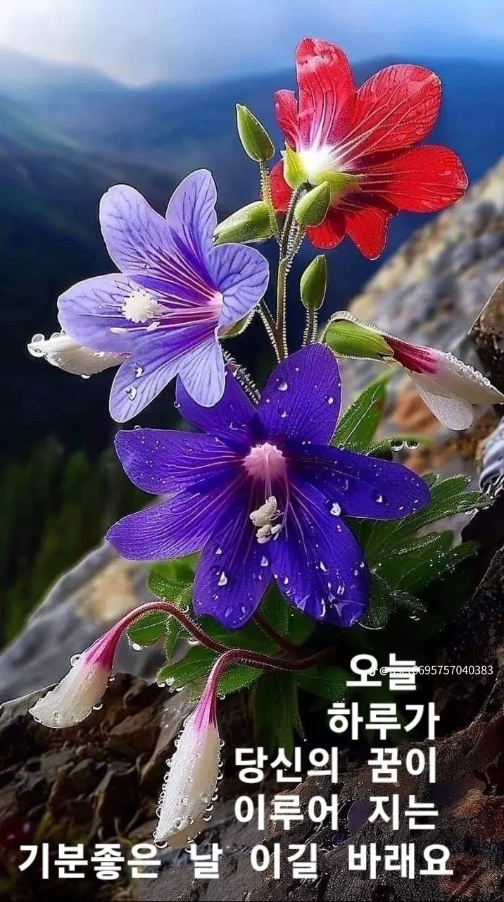 만남 이미지