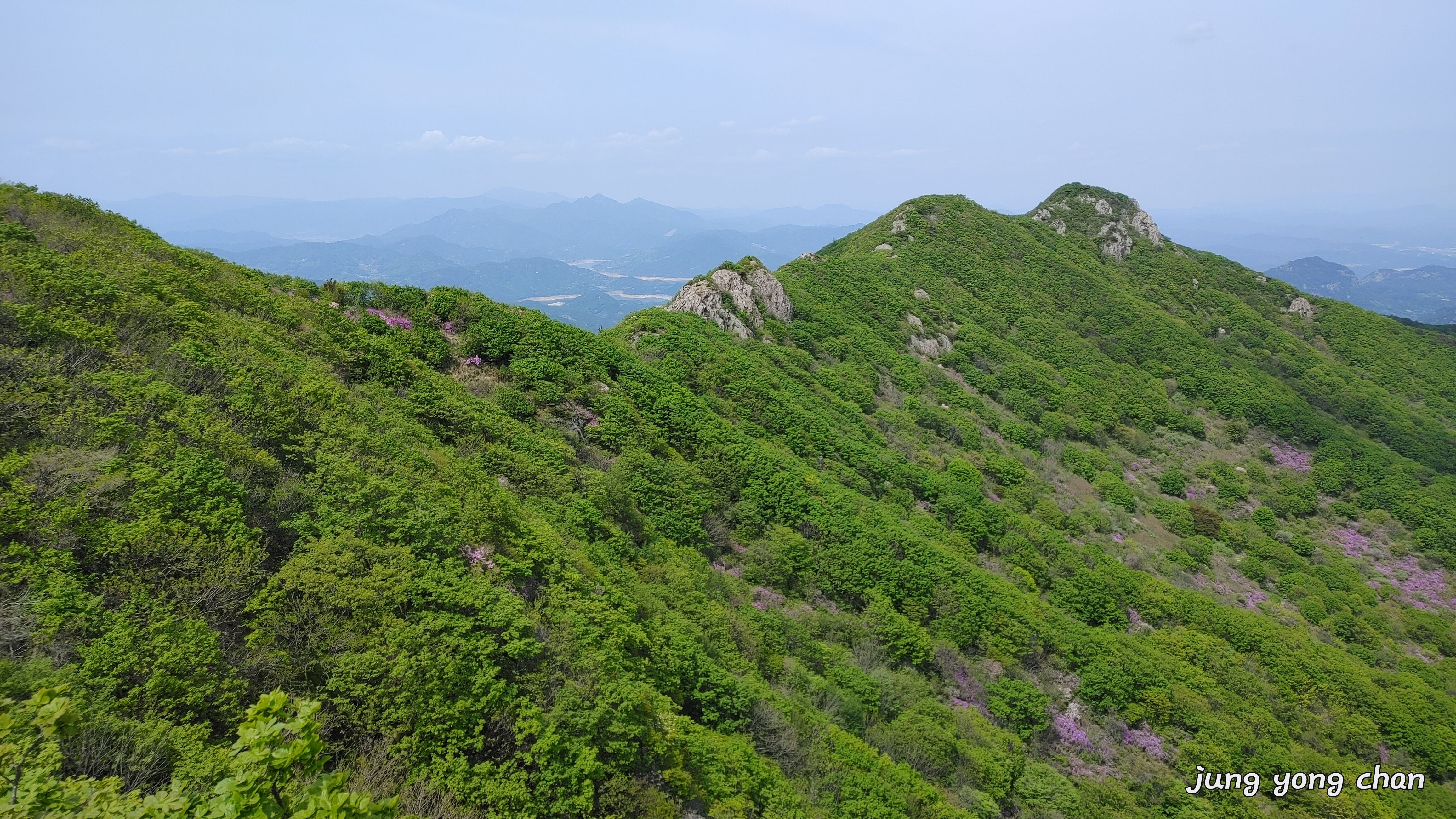 산들애 이미지