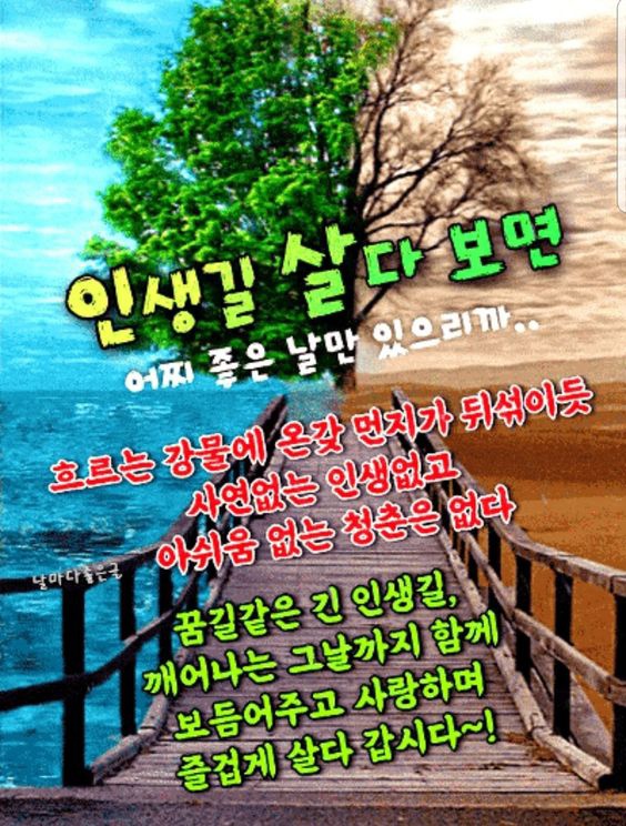 엔돌핀 이미지