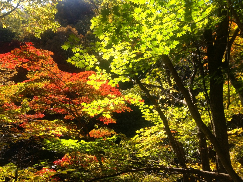 배산주유소 이미지