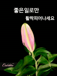 카페 프로필 이미지