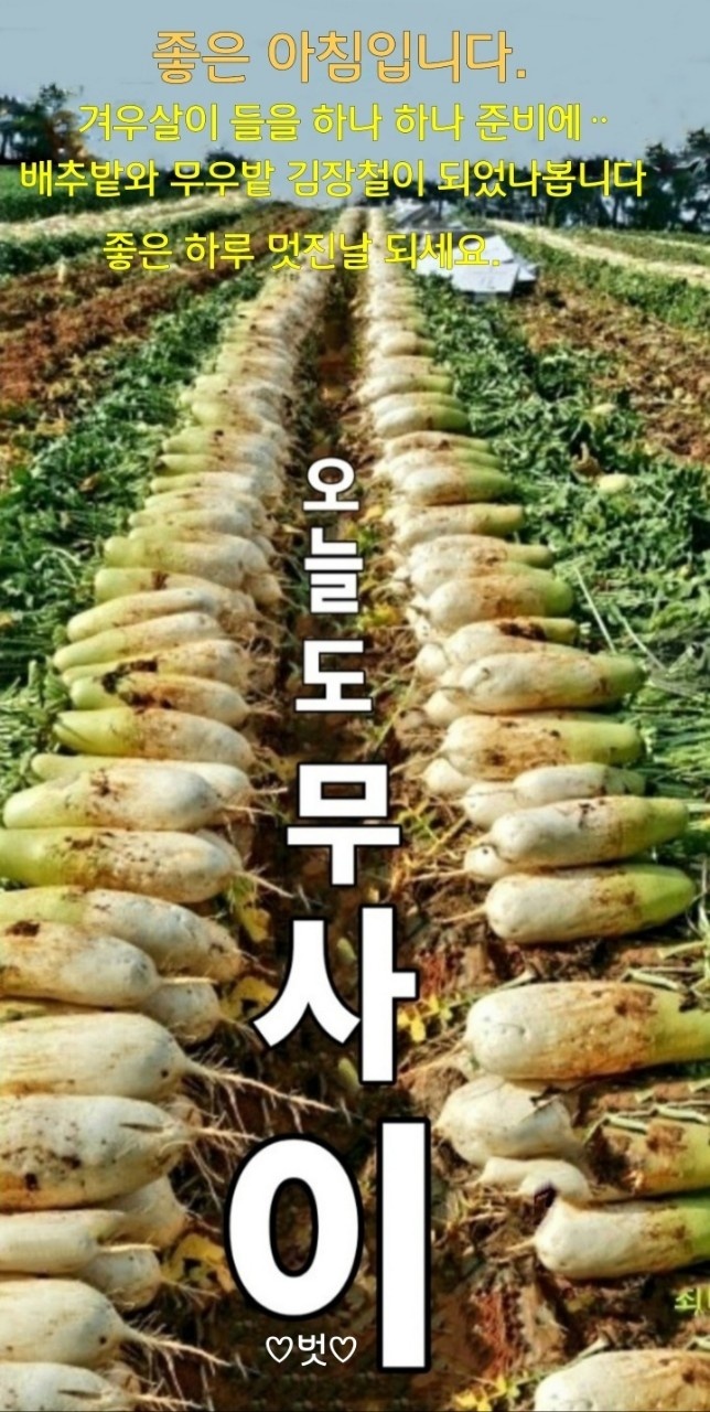 무사이 이미지