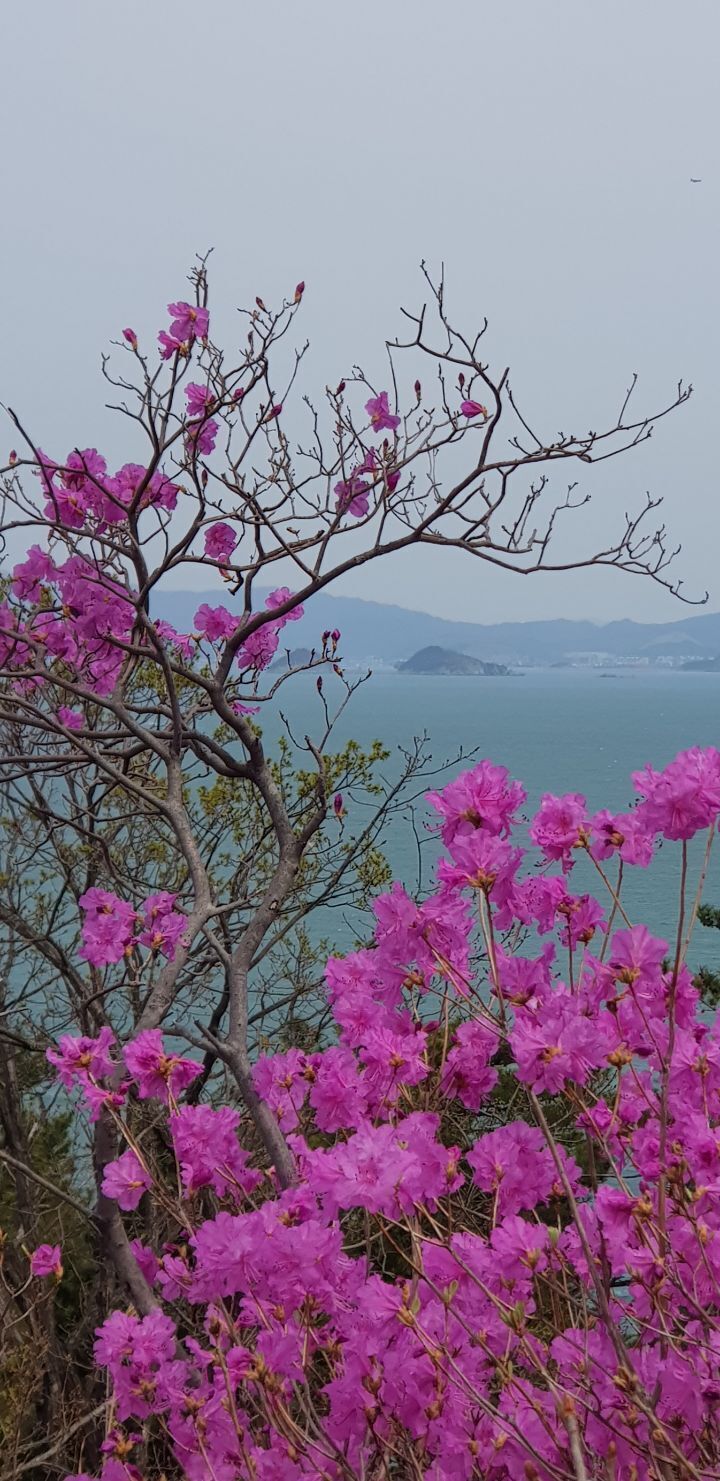 (주)아침 이미지