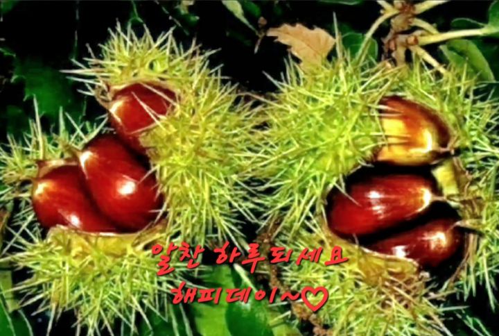 (주)아침 이미지