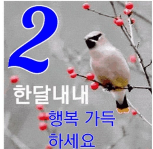 (주)아침 이미지