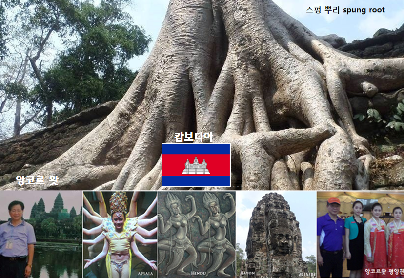 베트남쌀국수(GANH) 이미지