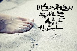 꽃채움 이미지