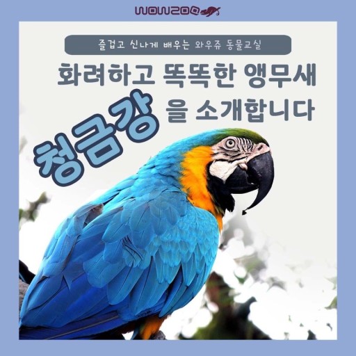 금강어린이집 이미지
