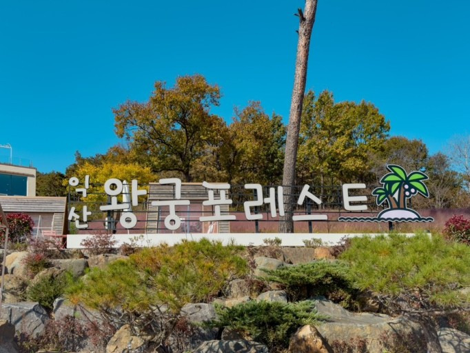 왕궁 이미지