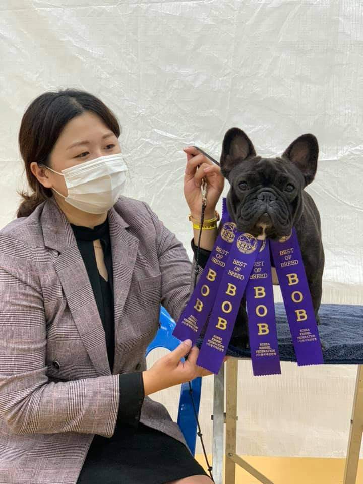 라온제나 이미지