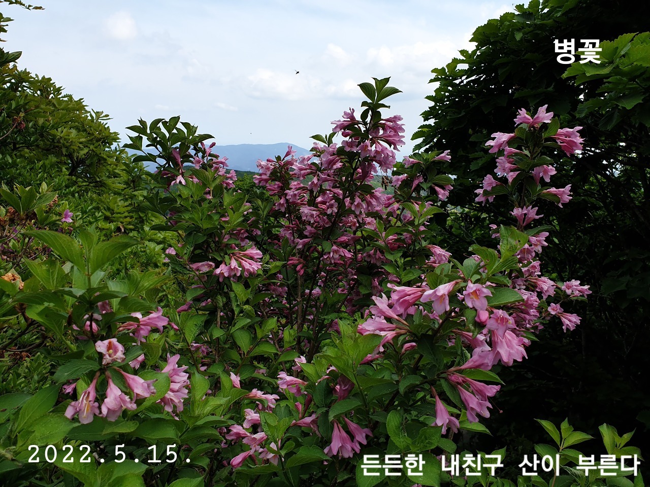 돌고래 바위? 이미지