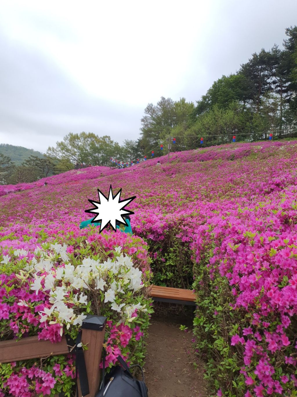정커피솝 이미지