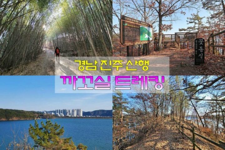동실 이미지