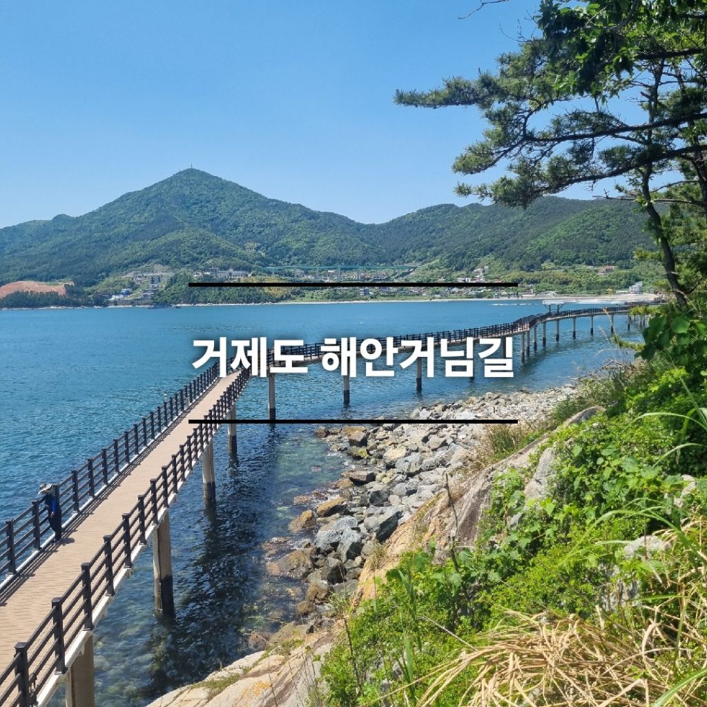 옥화 이미지