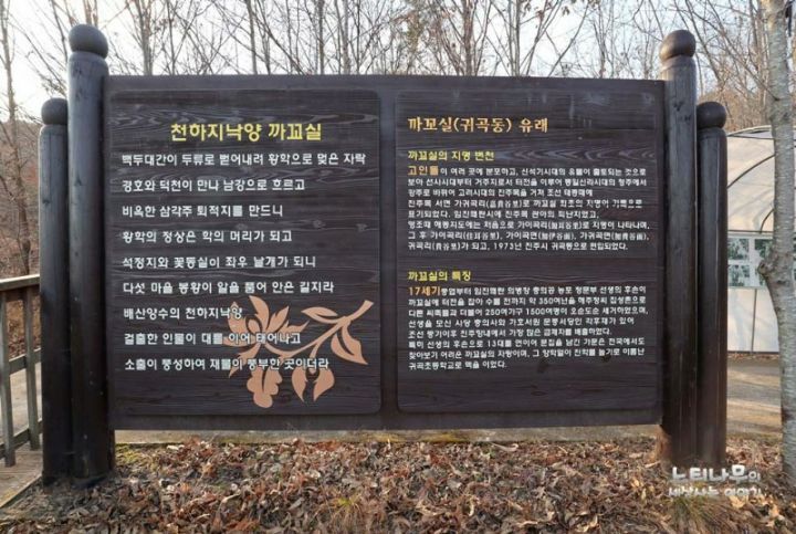 동실 이미지