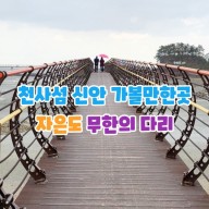 파란섬 이미지