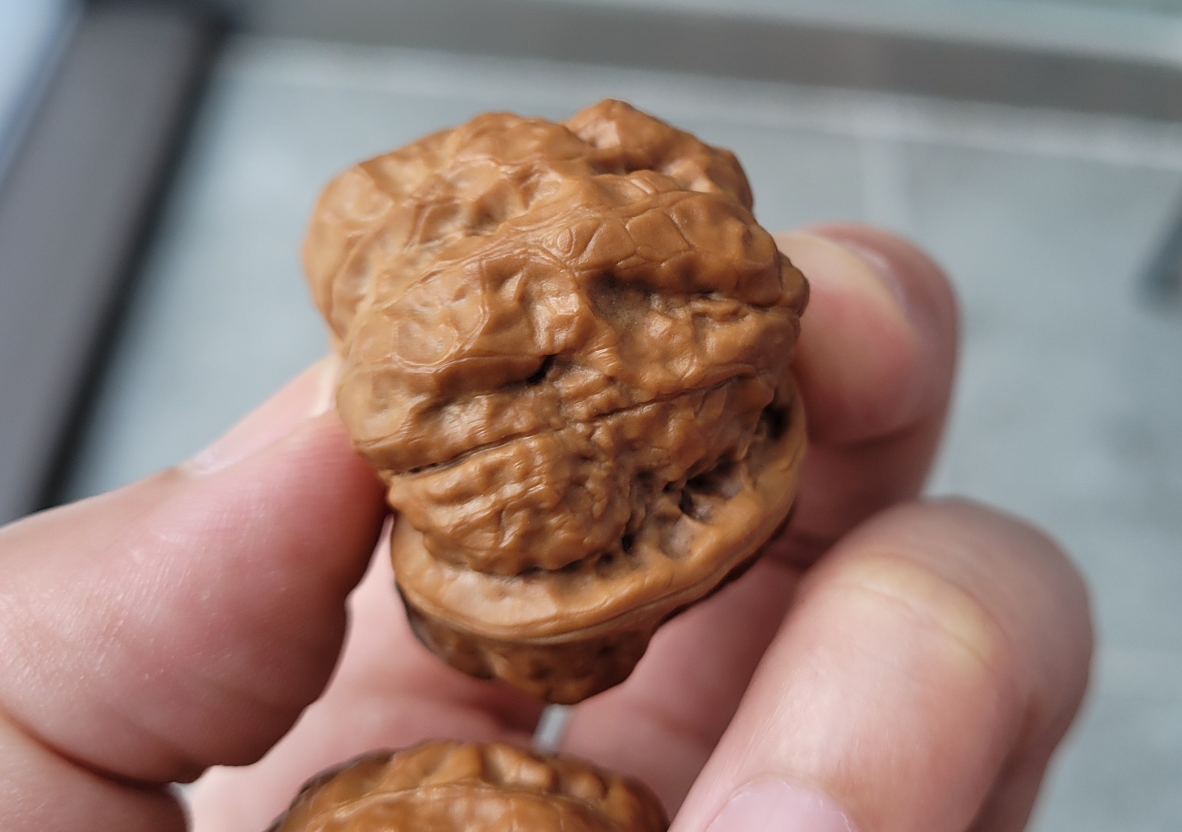 하마사 이미지