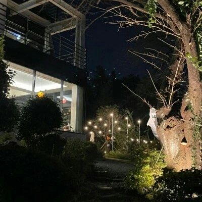 숲속의계곡 이미지