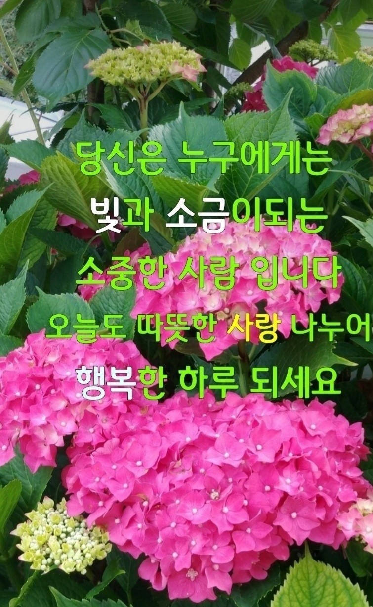 행복한 하루 이미지