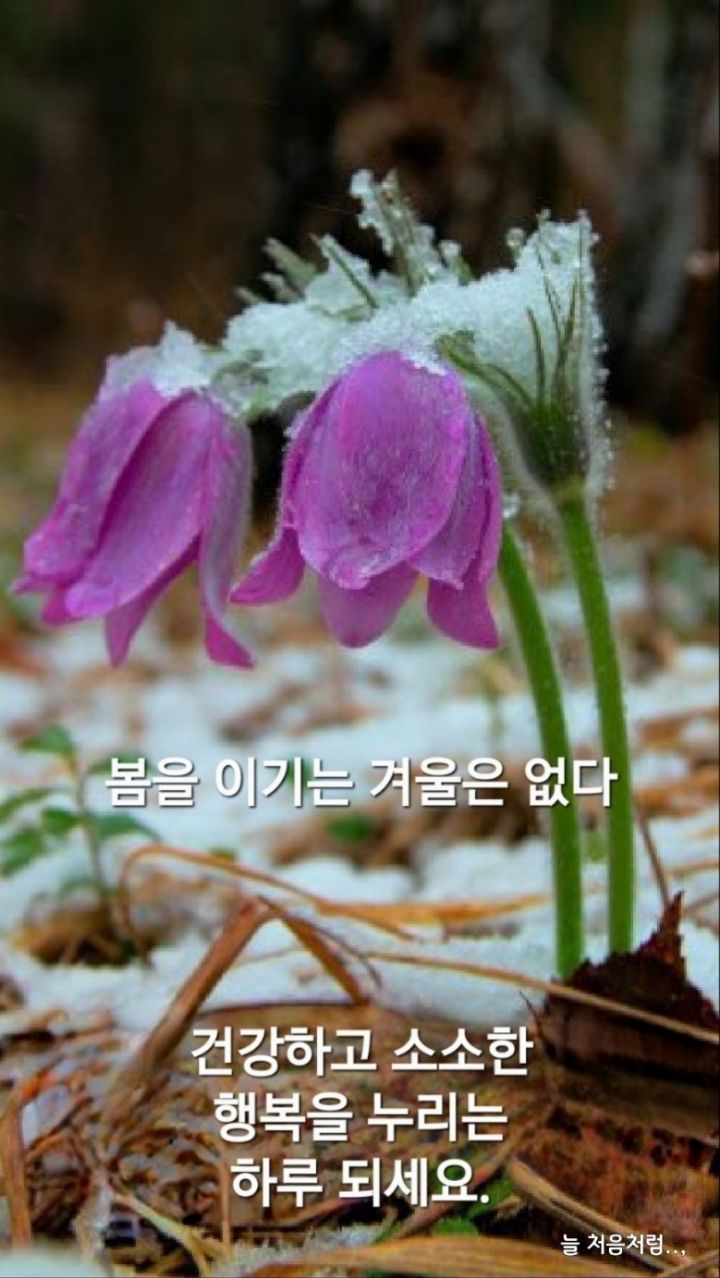 행복한하루 이미지
