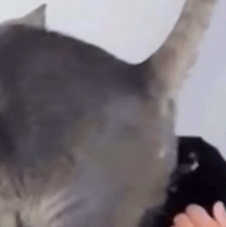 [움짤] 난 여기다 해줘 | 인스티즈