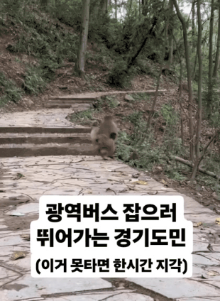 [움짤] 광역버스 잡으러 뛰어가는 경기도민 | 인스티즈