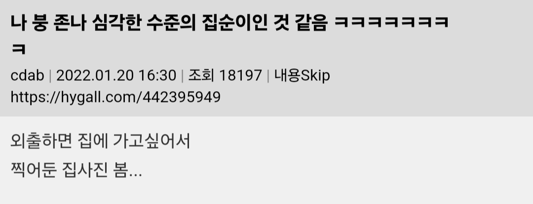 나 좀 심각한 수준의 집순이인 것 같음 ㅋㅋㅋㅋ | 인스티즈