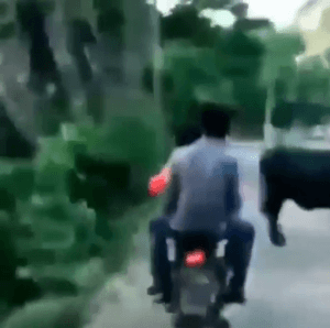 물리학 실험 | 인스티즈