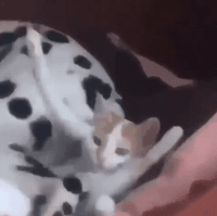 2층 주민의 횡포 | 인스티즈