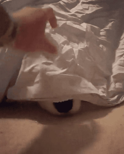 주인, 나 찾아보개 | 인스티즈