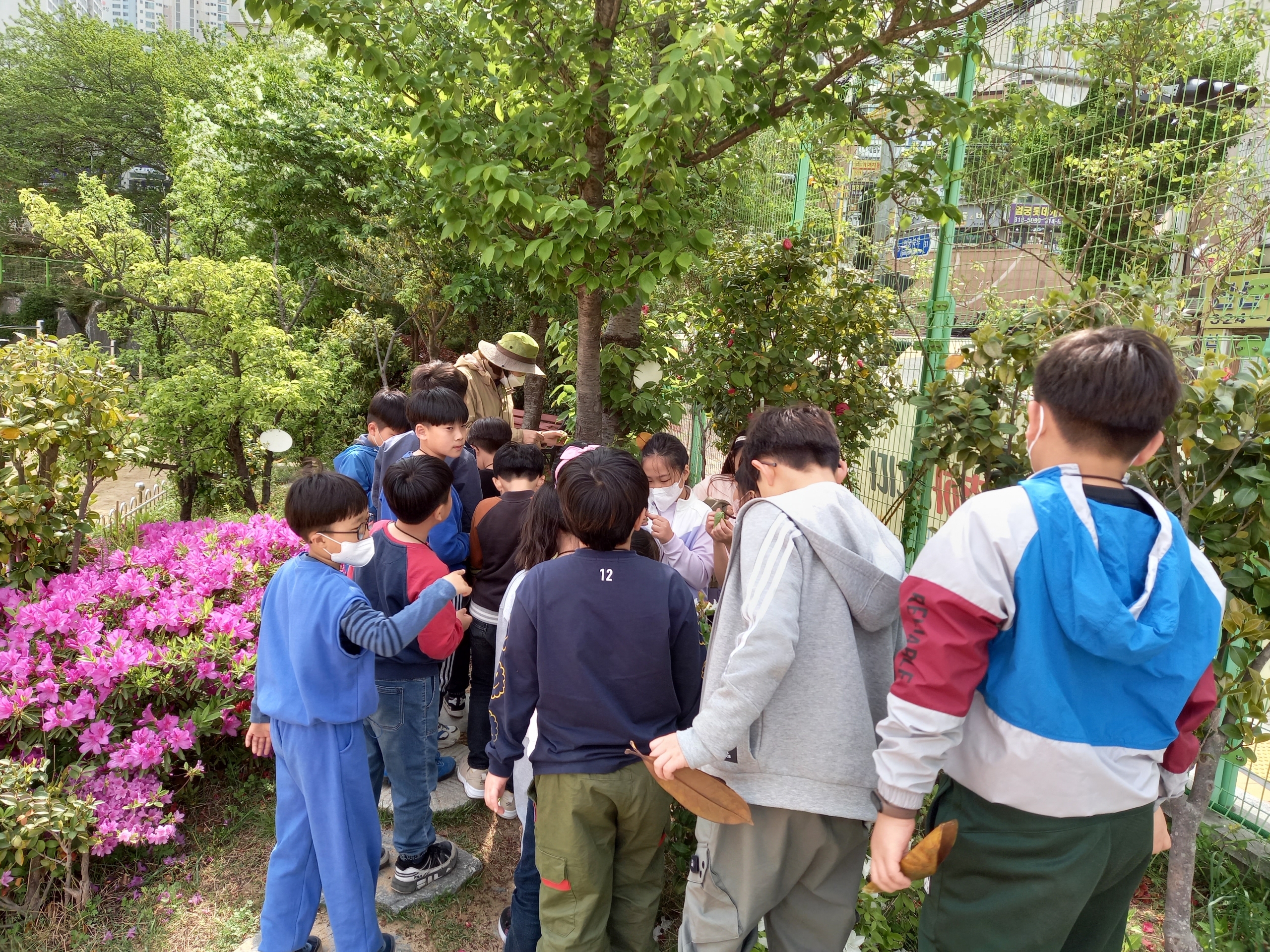엄궁초등학교 이미지