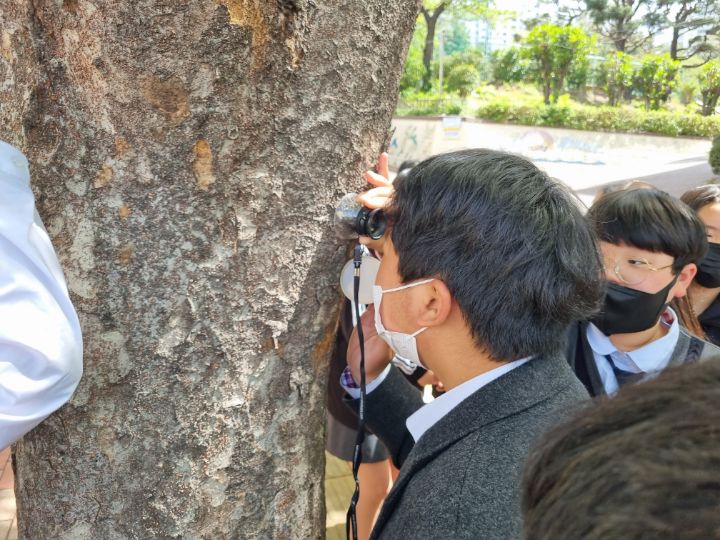 엄궁중학교 이미지