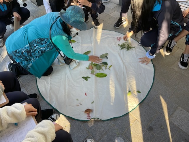 모라중학교 이미지
