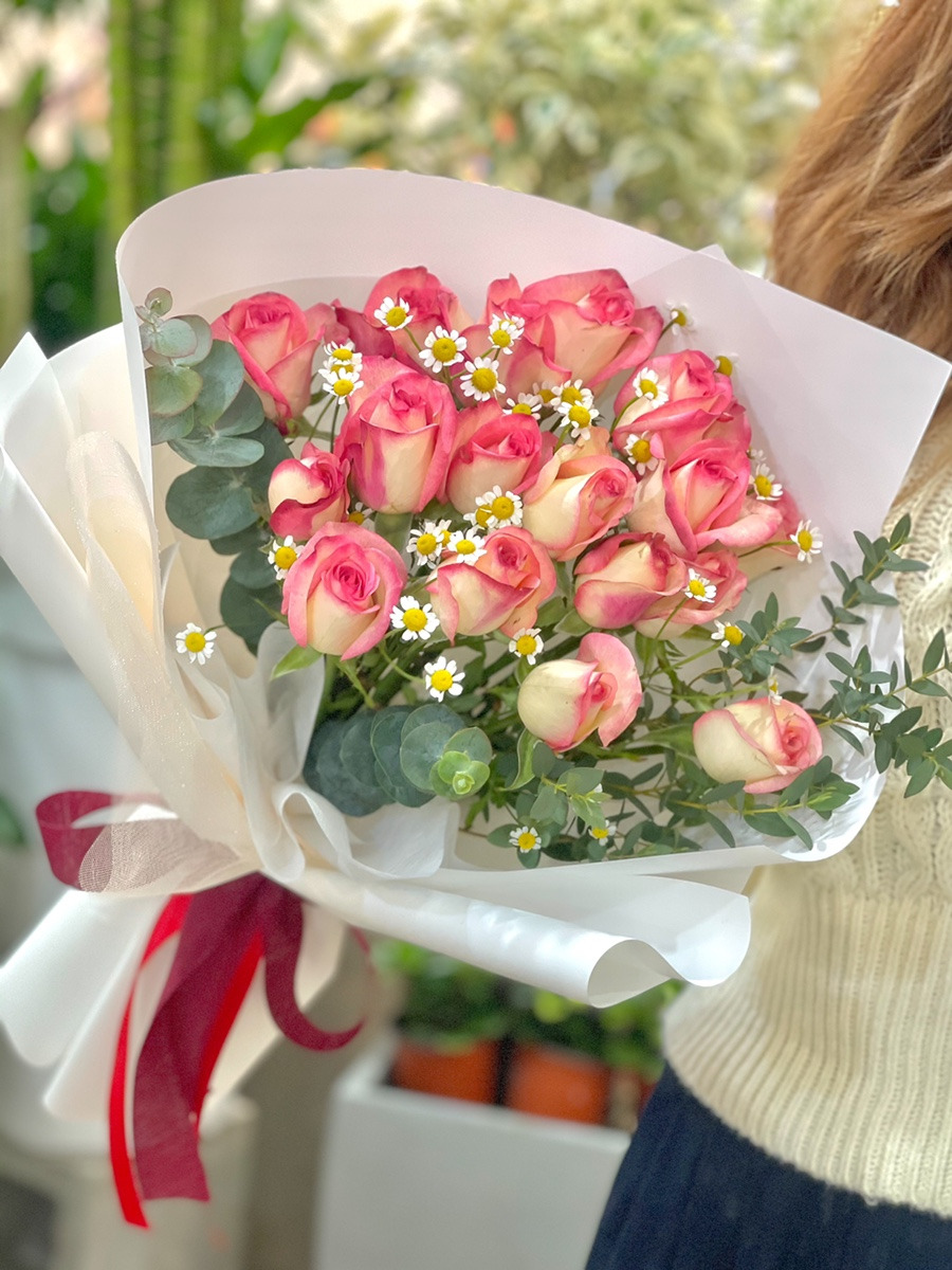 팔로마 이미지