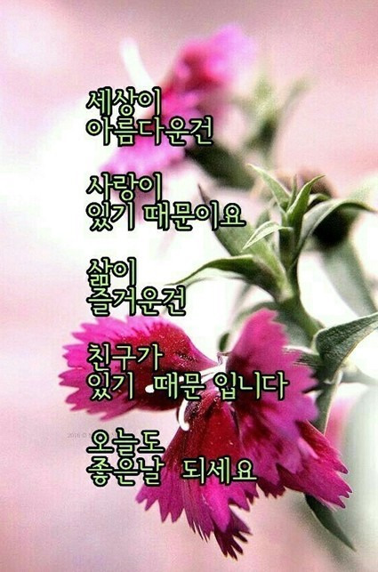 눈부시게 이미지