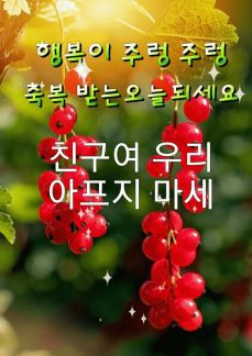 우리짐 이미지