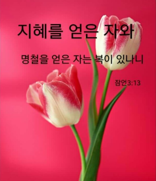화평기획 이미지